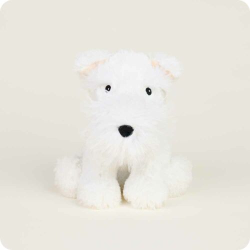 Westie