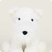 Westie