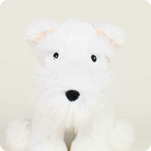 Westie
